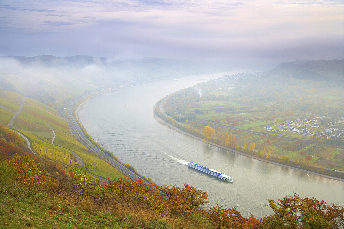 View from the Gedeonseck at the horse-shoe bend at Boppard with Vineyards, River Rhine, Cultural Heritage of the World: Oberes Mittelrheintal (since 2002), Mittelrhein, Rhineland-Palatinate, Germany, Europe