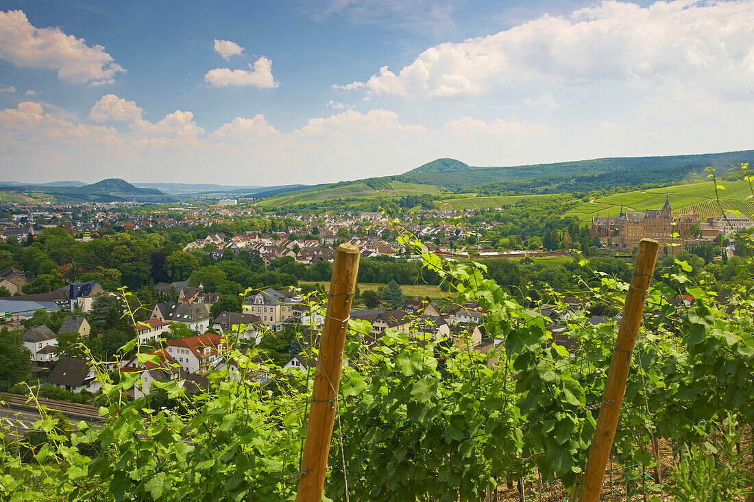 View along vineyard to Ahrweiler, Bad Neuenahr-Ahrweiler, Rhineland-Palatinate, Germany