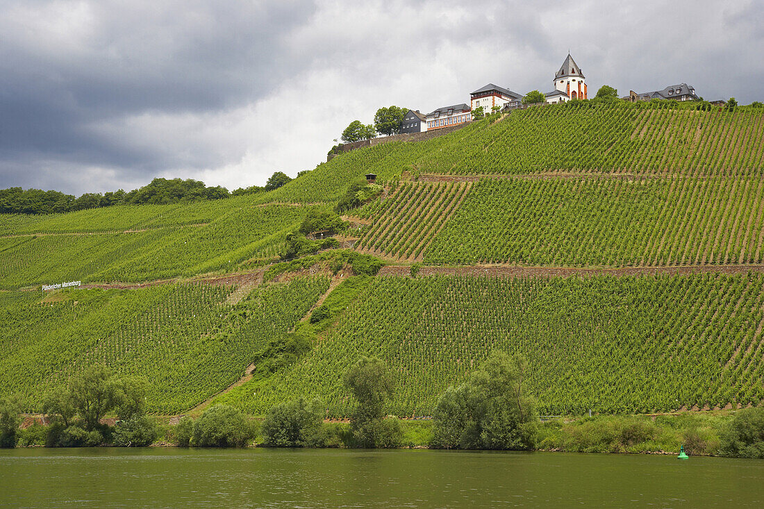 View from Pünderich at the Marienburg, Wine growing area, Mosel, Rhineland-Palatinate, Germany, Europe