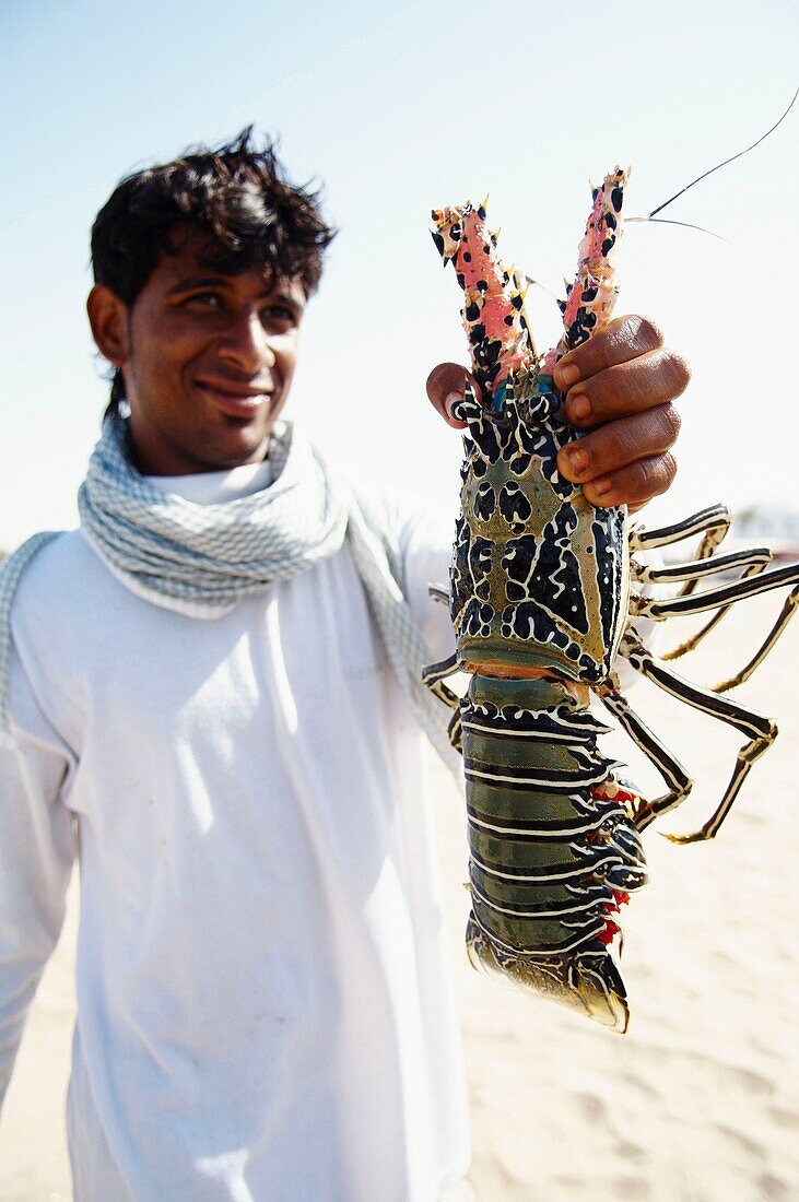 Middle East, Oman, harbour of Sur, lobster