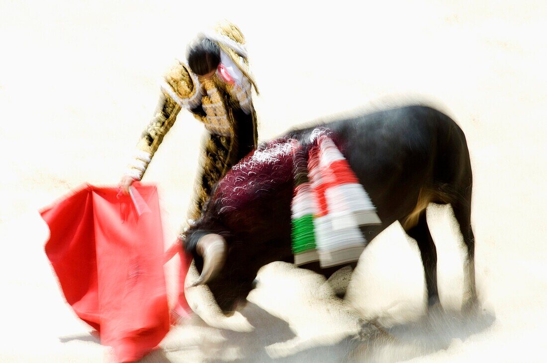 Bullfighting, Seville, Andalusia, Spain