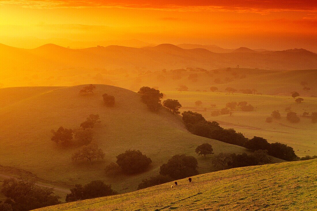 Sunset in the hills near Los Olivos, Santa Barbara County, California