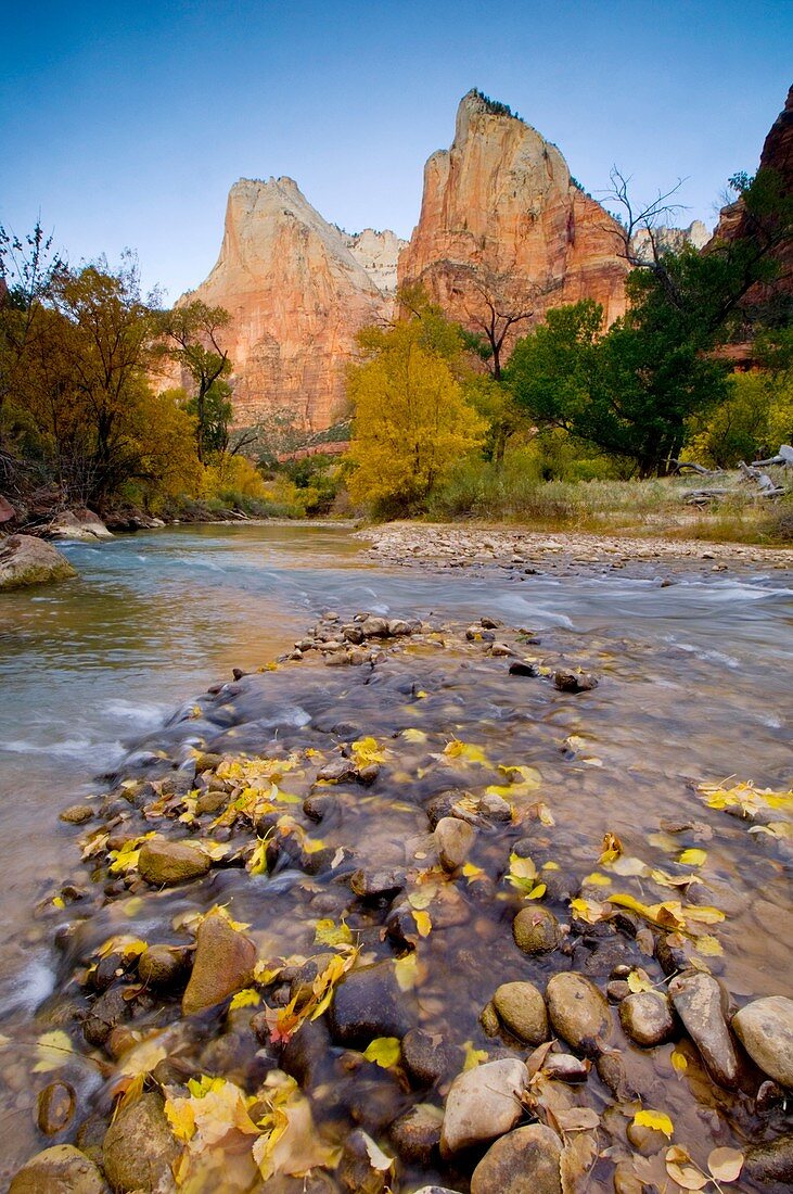 Morning light on The Court of the Patriarchs above the Virgin River, Zion Canyon, Zion National Park, Utah