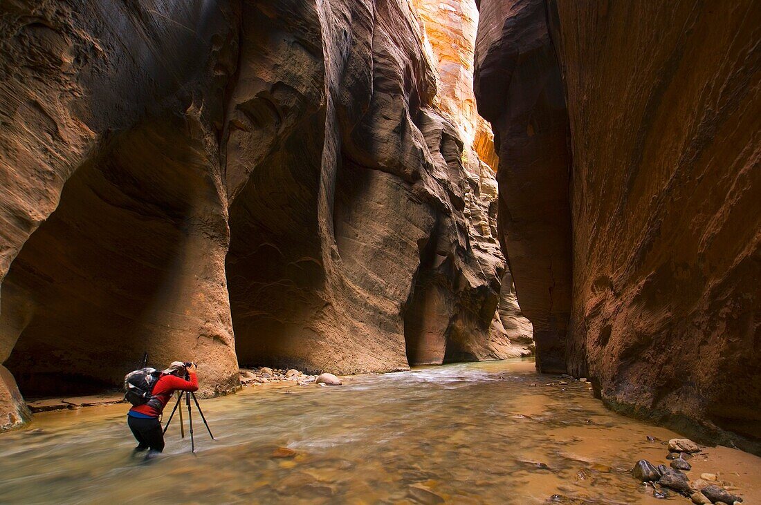 Hiker taking pictures in the Virgin River Narrows, Zion National Park, Utah