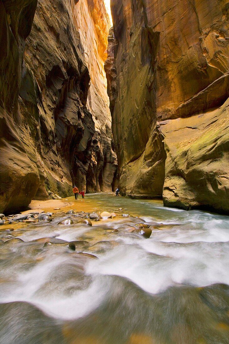 Hikers and cascade in the Virgin River Narrows, Zion National Park, Utah