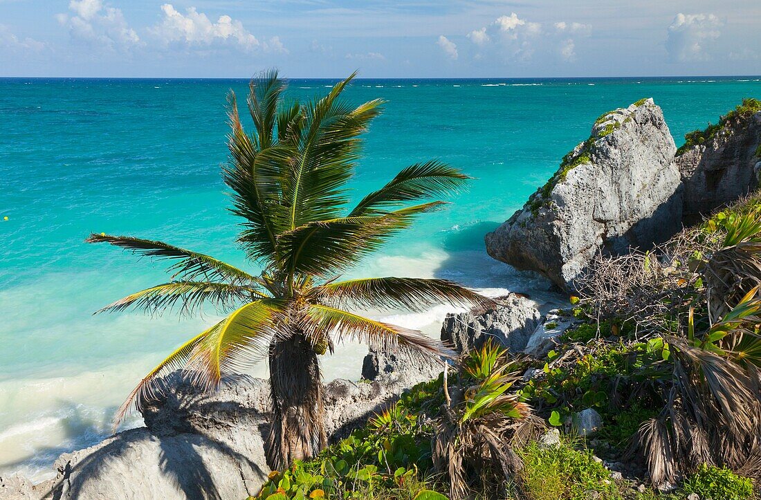 Yacimiento Arqueológico Maya de Tulum, Estado de Quintana Roo, Península de Yucatán, México, América