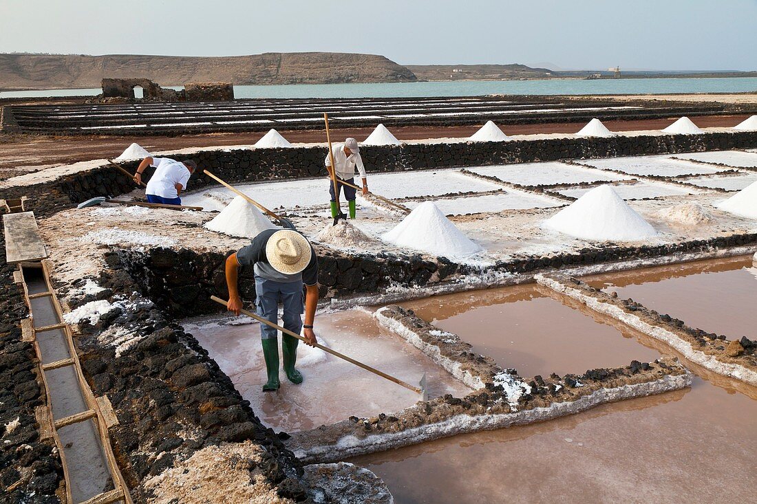 Salinas de Janubio Isla Lanzarote Provincia Las Palmas Islas Canarias España