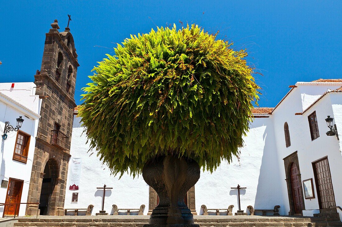 Convento de San Francisco sede del Museo Insular A la derecha Iglesia de San Francisco Plaza de San Francisco Ciudad Santa Cruz de la Palma Isla La Palma Provincia Santa Cruz Islas Canarias España