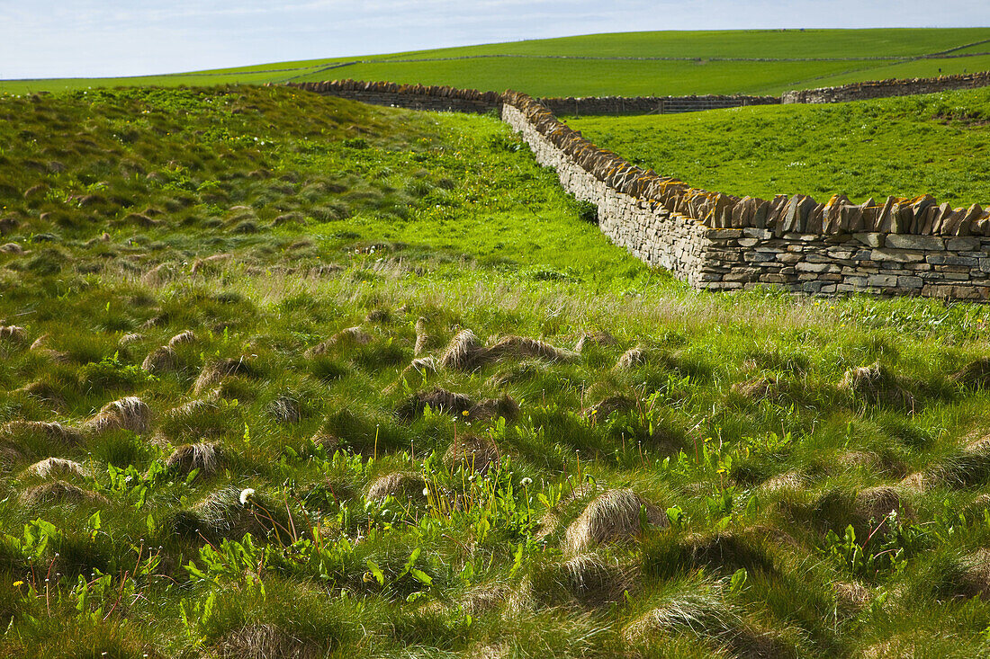 Rural landscape by Skara Brae Neolithic settlement, Mainland, Orkney, Scotland, UK