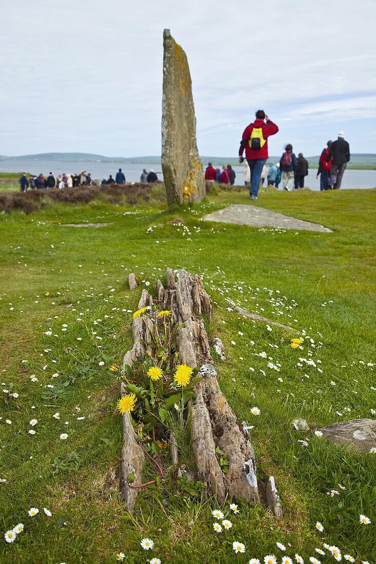 Ring of Brodgar Neolithic stone circle, Mainland, Orkney, Scotland, UK