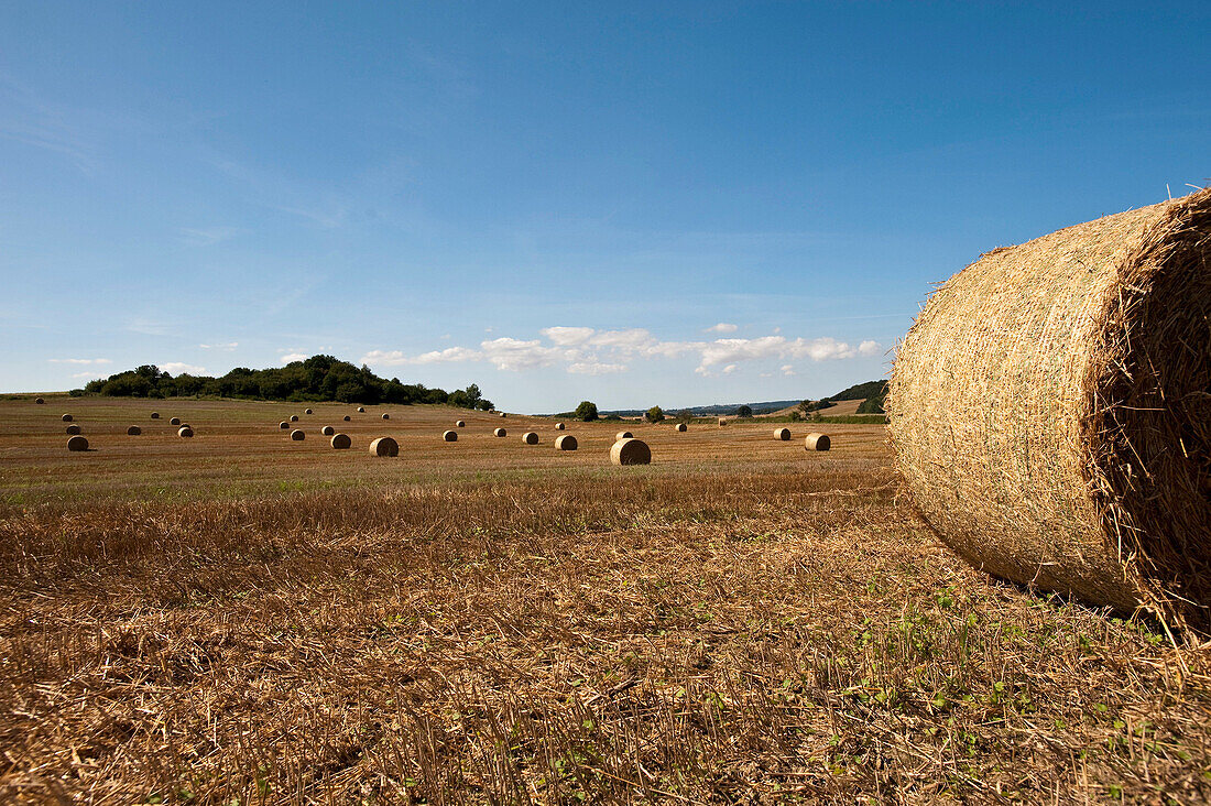 Round bales of hay on a freshly cur field, Island of Rügen, Mecklenburg-Vorpommern, Germany