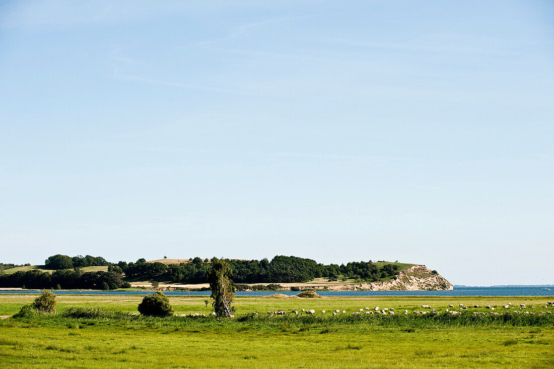 Coastal landscape, Island of Rügen, Mecklenburg-Vorpommern, Germany