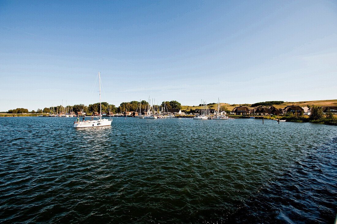 Gager, Insel Rügen, Ostsee, Mecklenburg-Vorpommern, Deutschland