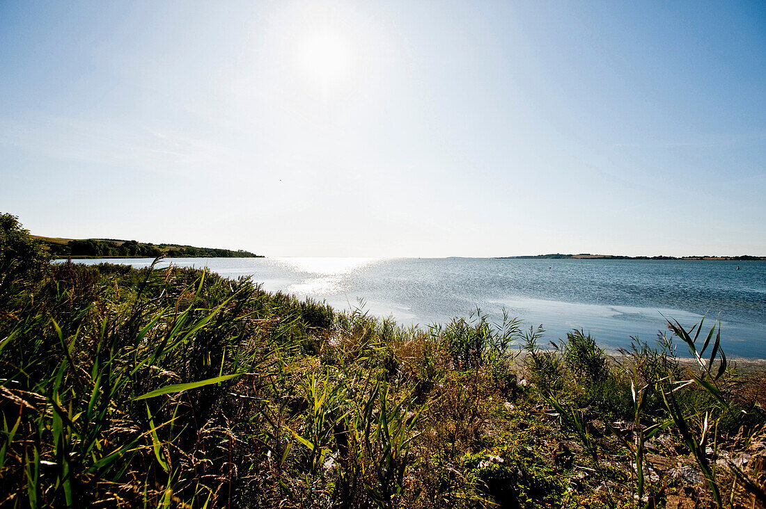 Gager, Insel Rügen, Ostsee, Mecklenburg-Vorpommern, Deutschland