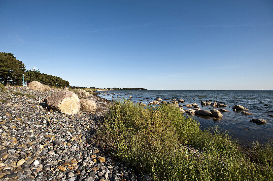 Beach at Ruegener Bodden, Island of Rügen, Mecklenburg-Vorpommern, Germany