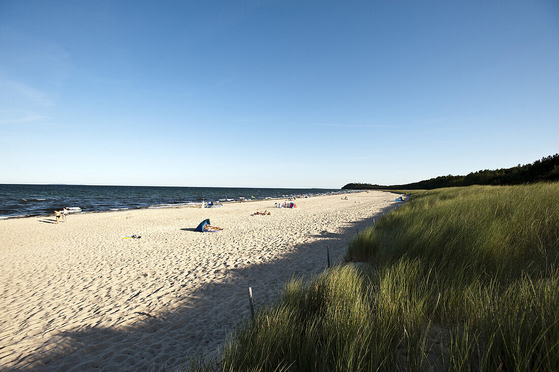 Beach at Ruegener Bodden, Island of Rügen, Mecklenburg-Vorpommern, Germany