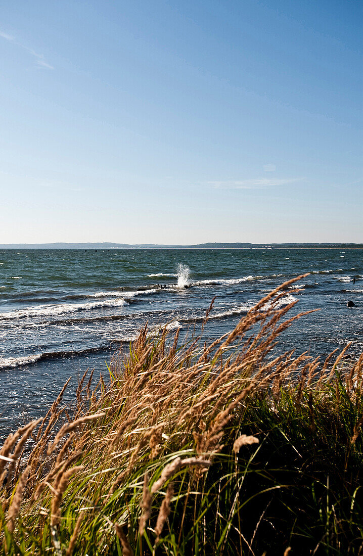 Coast near Sassnitz, Island of Rügen, Mecklenburg-Vorpommern, Germany