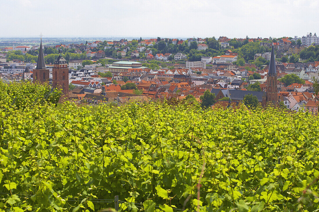 View from Neustadt-Haardt over vineyards at Neustadt a.d. Weinstraße, Collegiate church, St. Mary's church, German Wine Route, Palatinate, Rhineland-Palatinate, Germany, Europe