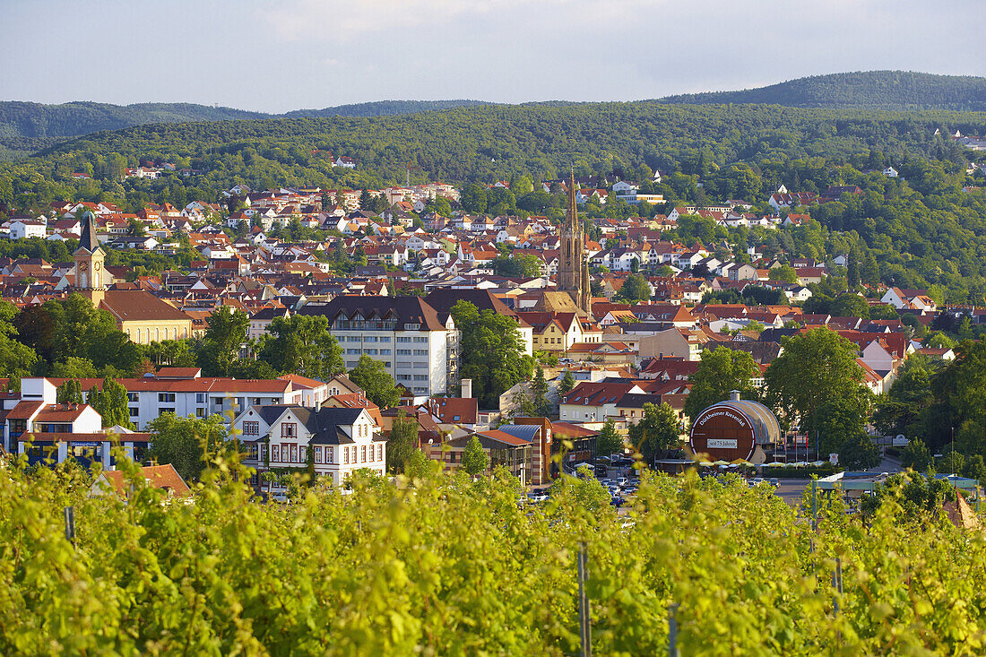 View over vineyards at Bad Dürkheim a.d. Weinstraße, Schloßkirche, Church, Riesenfaß (1,7 mio.Liter), Gigantic barrel, Deutsche Weinstraße, Palatinate, Rhineland-Palatinate, Germany, Europe