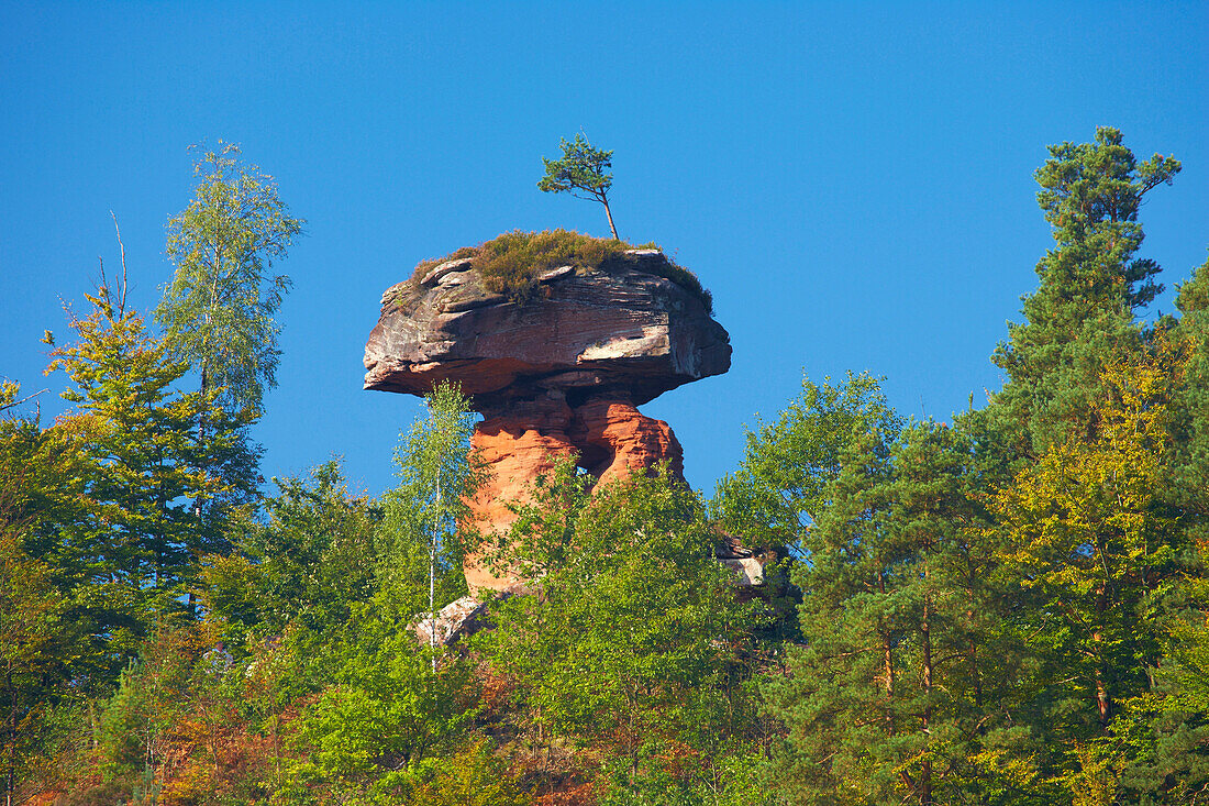 Teufelstisch rock, Hinterweidenthal, Palatinate Forest, Rhineland-Palatinate, Germany