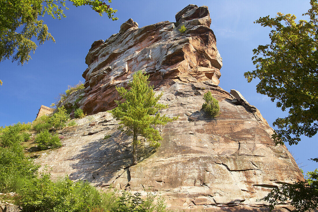 Rock on which Trifels castle is built, Near Annweiler, Palatinate Forest, Rhineland-Palatinate, Germany, Europe