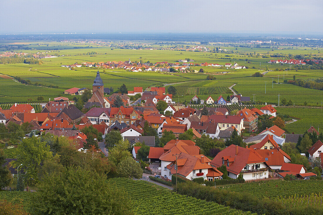 Blick auf Burrweiler, Deutsche Weinstraße, Pfalz, Rheinland-Pfalz, Deutschland, Europa