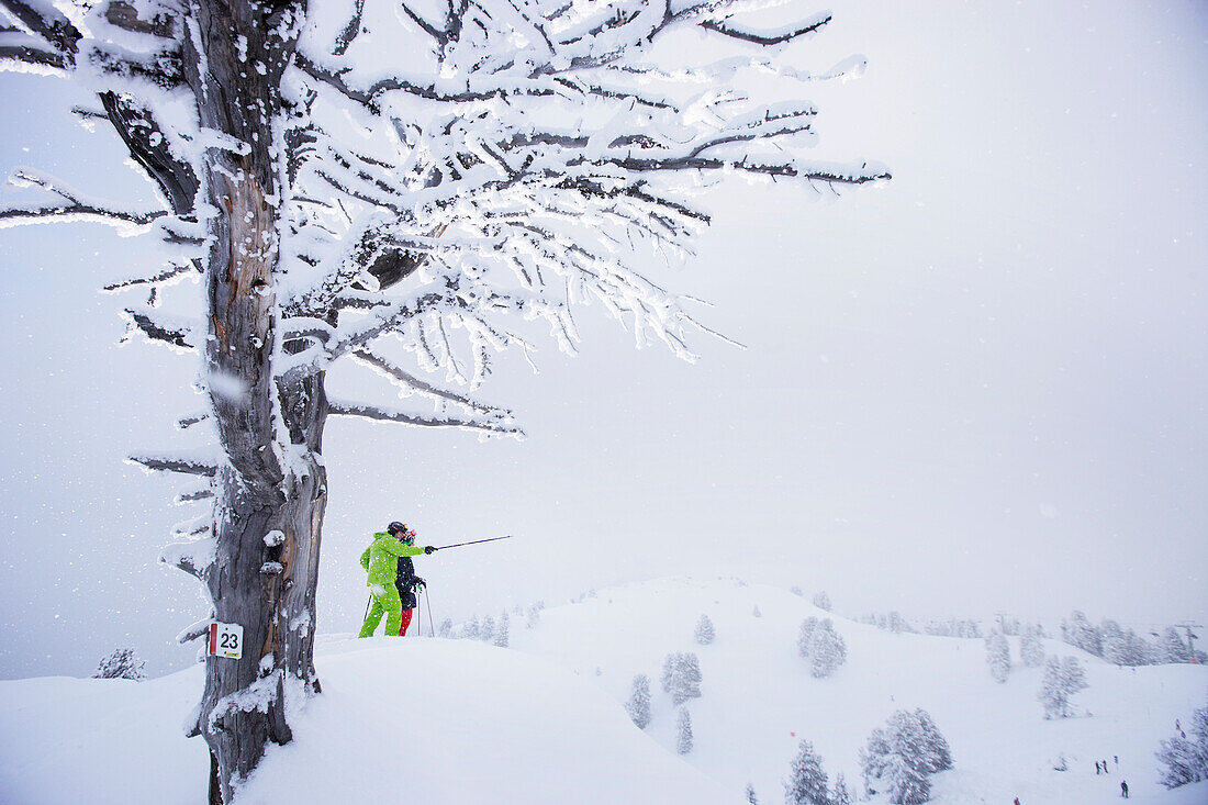 Freeskier im Tiefschnee, Mayrhofen, Zillertal, Tirol, Österreich