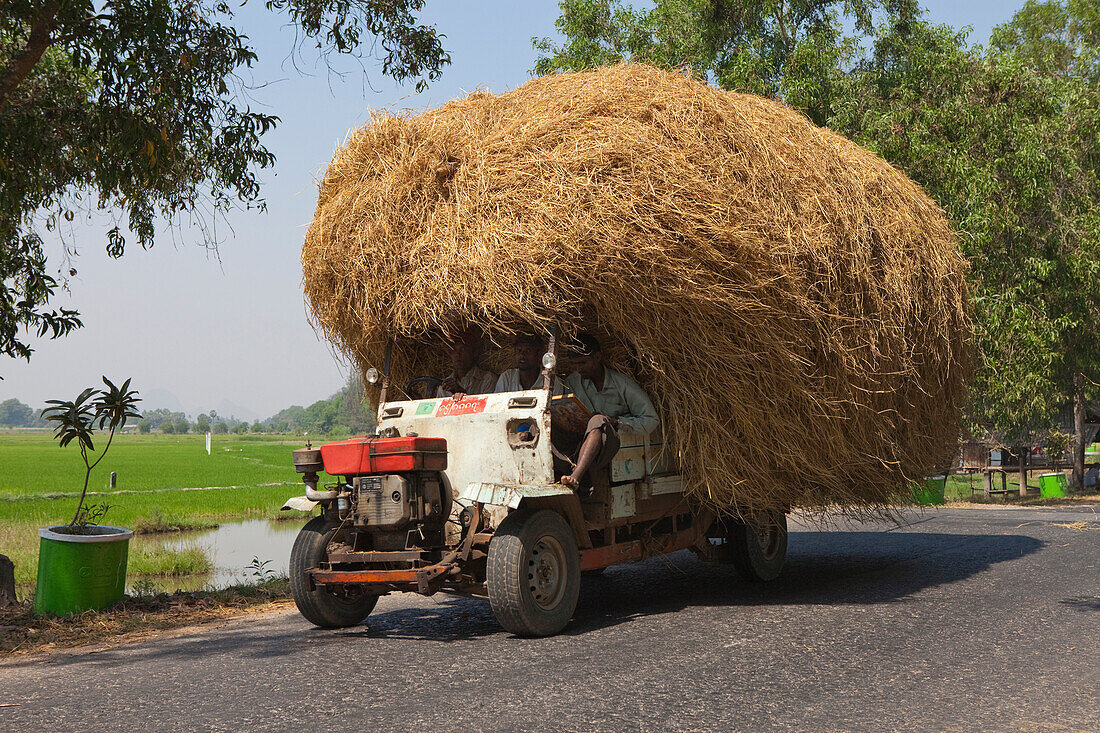Traktor mit Getreide auf einer Landstrasse, Kayin Staat, Myanmar, Burma, Asien