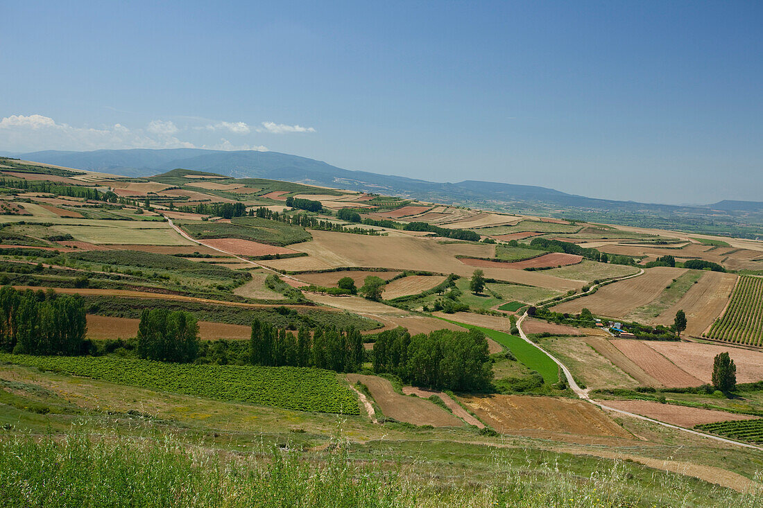 Landschaft bei Clavijo, bei Logrono, Camino Frances, Jakobsweg, Camino de Santiago, Pilgerweg, UNESCO Welterbe, europäischer Kulturweg, La Rioja, Nordspanien, Spanien, Europa