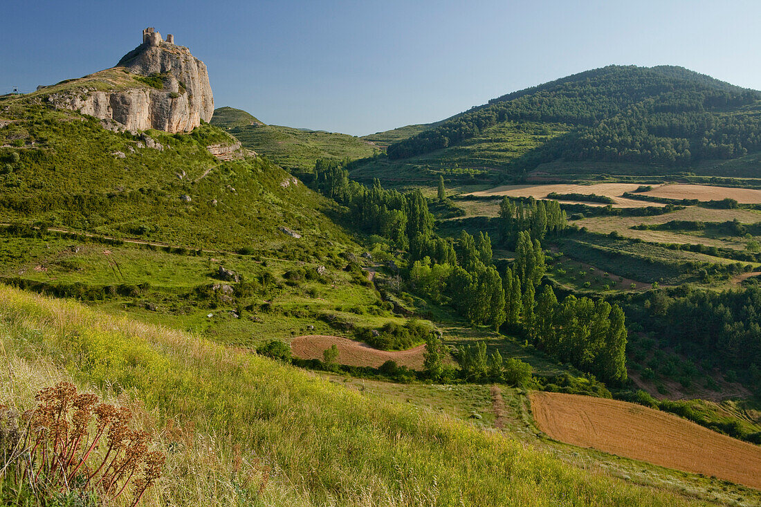 Castillo de Clavijo, castle, fortress near Logrono, Camino Frances, Way of St. James, Camino de Santiago, pilgrims way, UNESCO World Heritage, European Cultural Route, La Riojo, Northern Spain, Spain, Europe