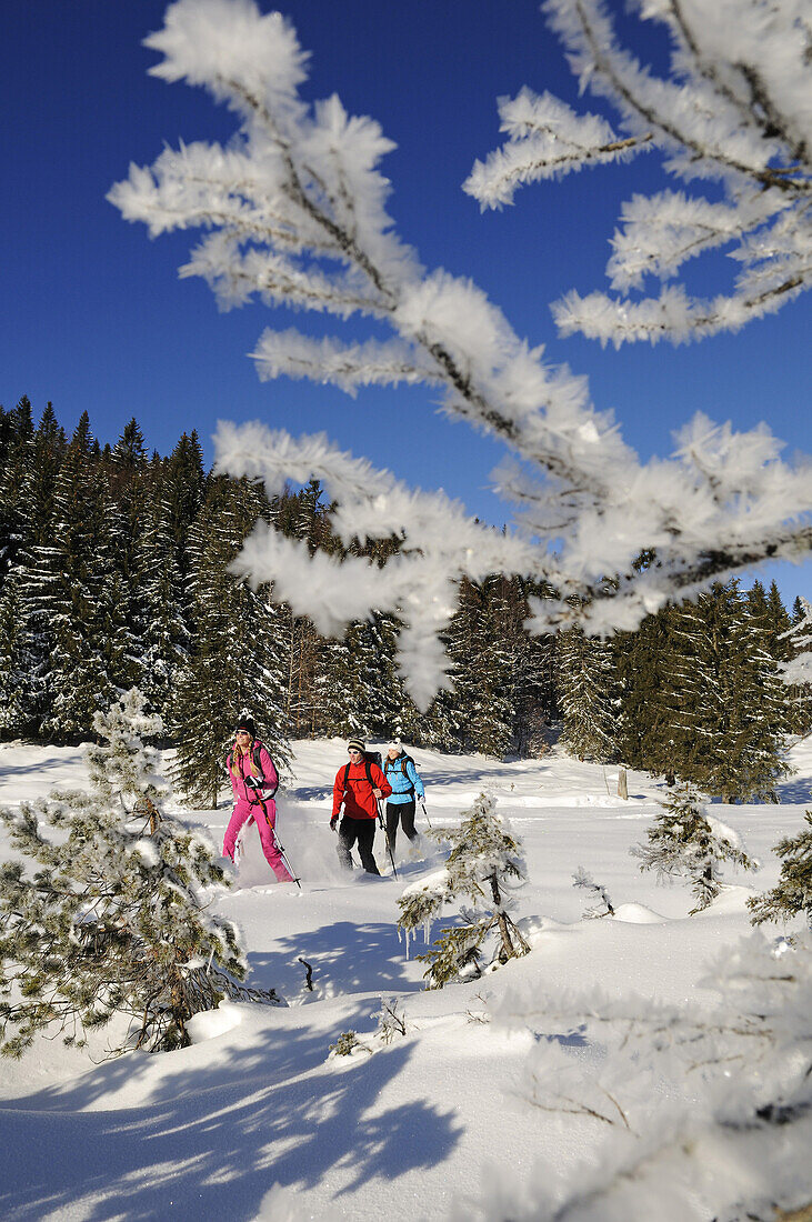 People snowshoeing in snowy landscape, Hemmersuppenalm, Reit im Winkl, Chiemgau, Upper Bavaria, Bavaria, Germany, Europe