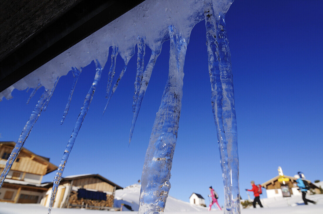 People snowshoeing, icicles at Eggenalm, Reit im Winkl, Chiemgau, Upper Bavaria, Bavaria, Germany, Europe