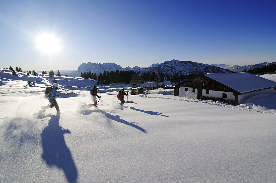 Menschen beim Schneeschuhlaufen in verschneiter Landschaft, Eggenalm, Reit im Winkl, Chiemgau, Bayern, Deutschland, Europa