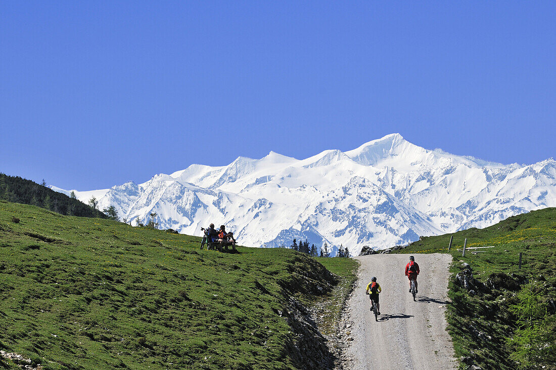 People on mountain bikes at Eggenalmkogel, Hohe Tauern in the background, Reit im Winkl, Bavaria, Germany, Europe