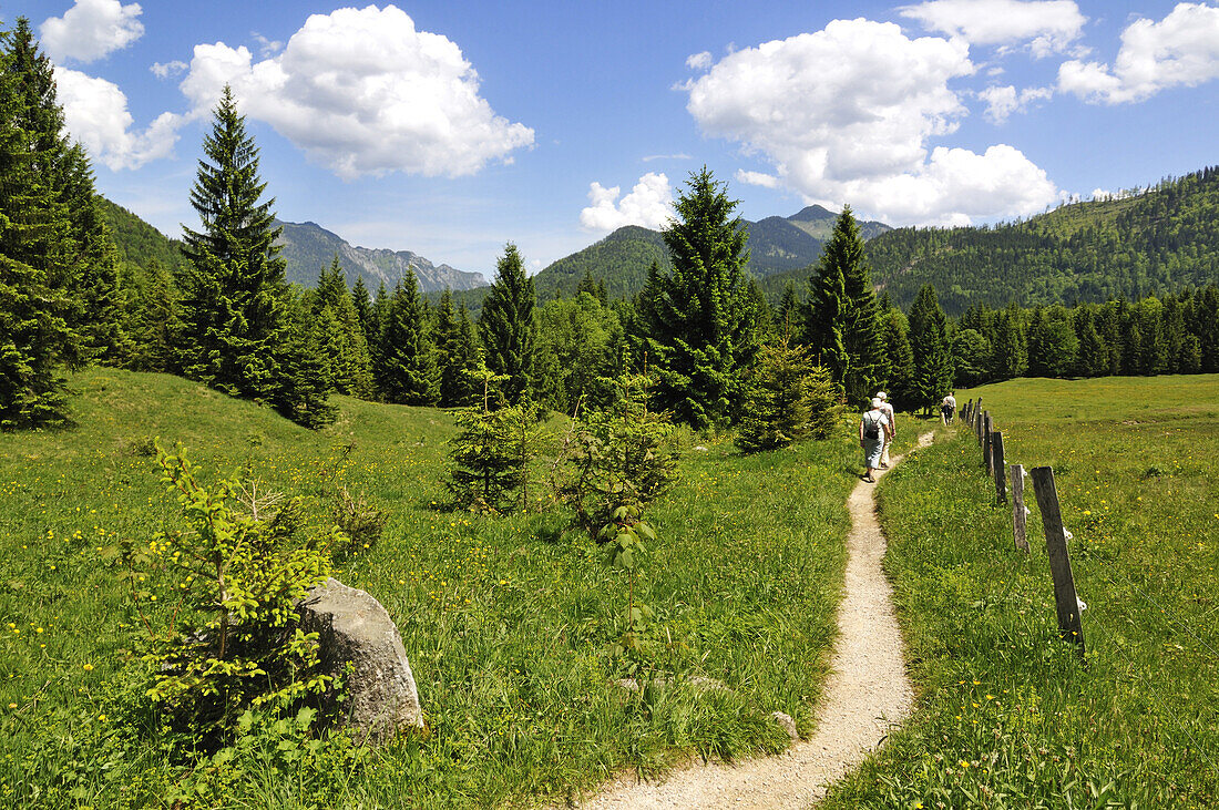 Hikers at Nattersberg alp, Reit im Winkl, Bavaria, Germany, Europe