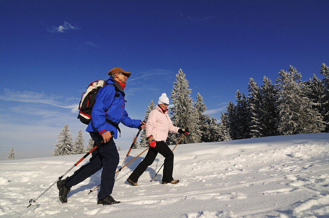 Menschen wandern auf Winterwanderweg in verschneiter Landschaft, Hemmersuppenalm, Reit im Winkl, Chiemgau, Bayern, Deutschland, Europa