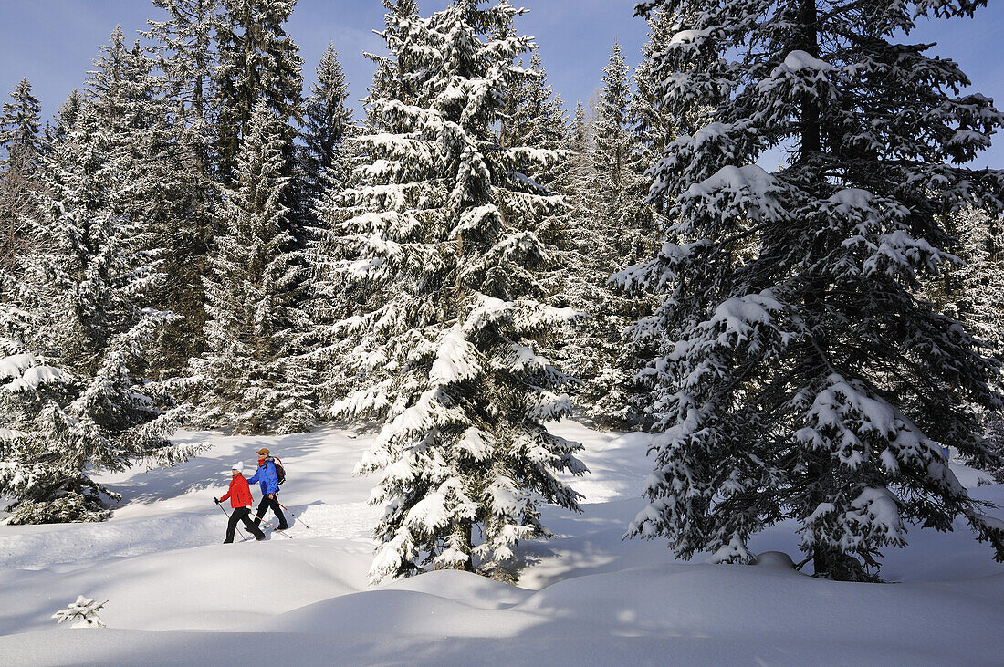 Menschen wandern auf Winterwanderweg in verschneiter Landschaft, Hemmersuppenalm, Reit im Winkl, Chiemgau, Bayern, Deutschland, Europa