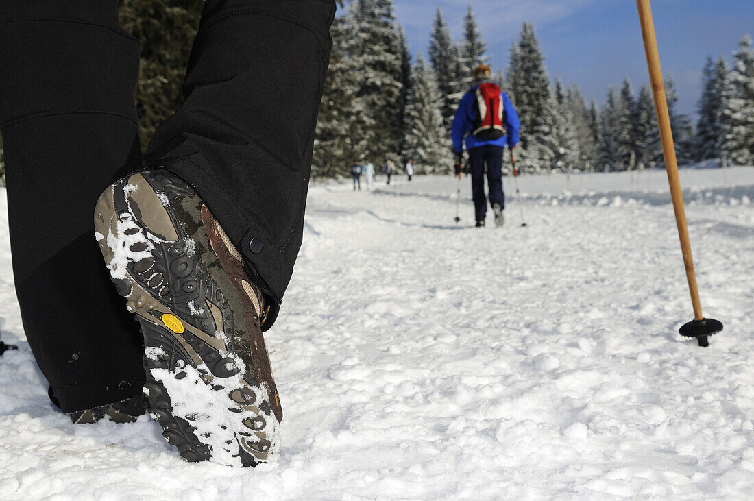 Menschen wandern auf Winterwanderweg in verschneiter Landschaft, Hemmersuppenalm, Reit im Winkl, Chiemgau, Bayern, Deutschland, Europa