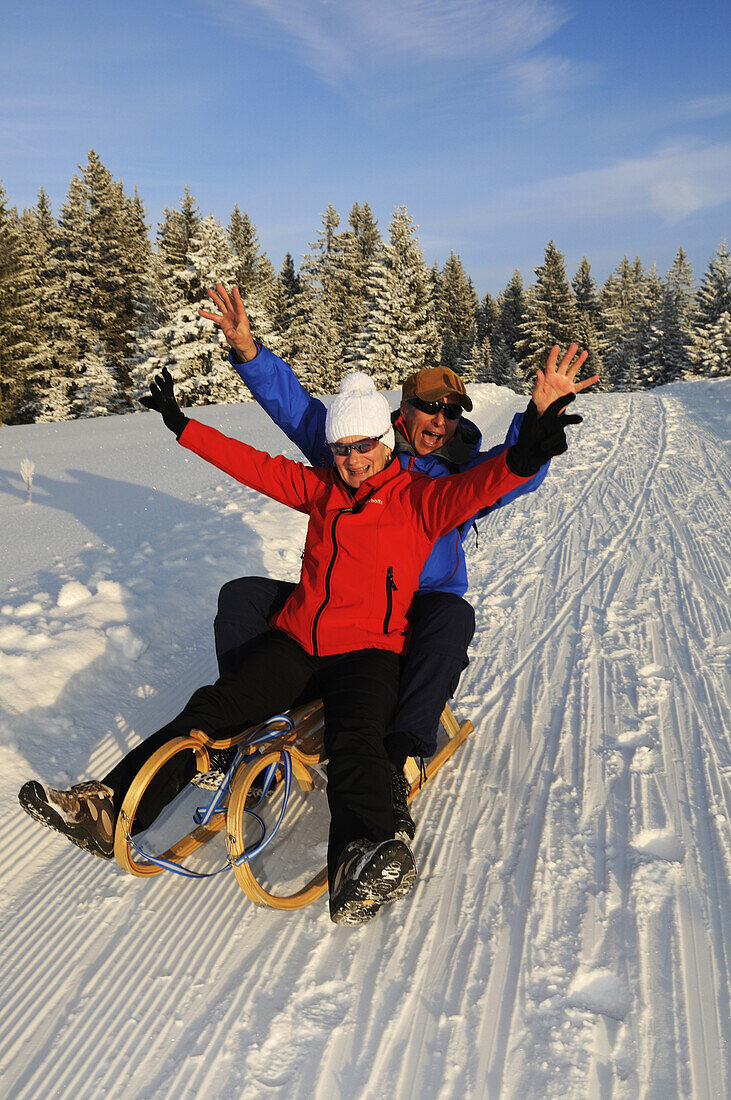 Paar fährt Schlitten auf Winterwanderweg in verschneiter Landschaft, Hemmersuppenalm, Reit im Winkl, Chiemgau, Bayern, Deutschland, Europa
