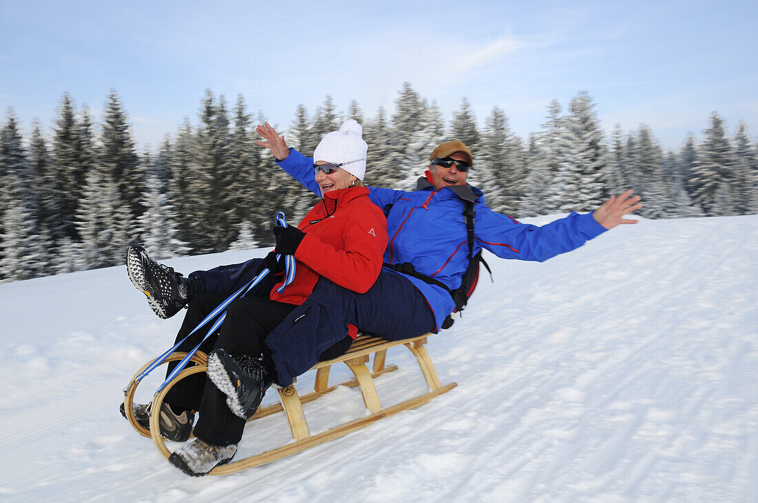 Couple sledging on winter hiking trail in snowy landscape, Hemmersuppenalm, Reit im Winkl, Chiemgau, Bavaria, Germany, Europe