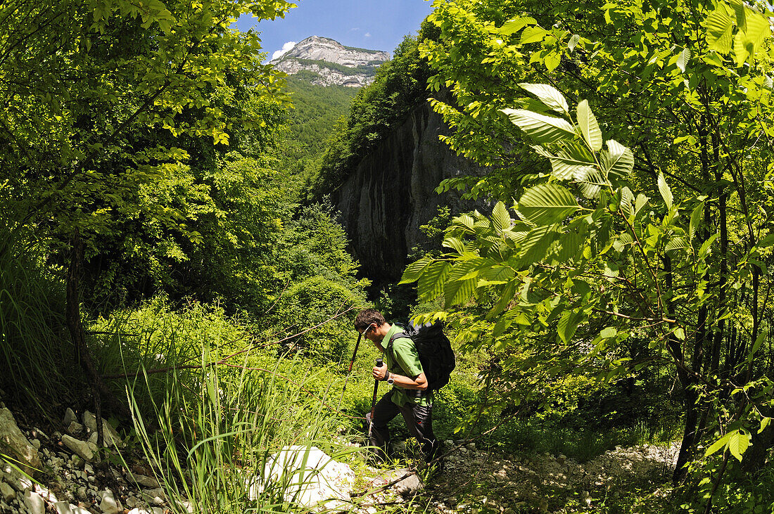Wanderer mit Rucksack im Grünen, Caramanico Terme, Orfento Schlucht, Maiella Nationalpark, Abruzzen, Italien, Europa