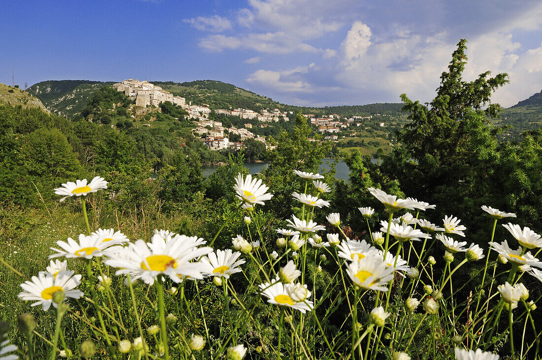 Flower meadow and mountain village in the background, Villetta Barrea, Lago di Barrea, Abruzzi, Italy, Europe