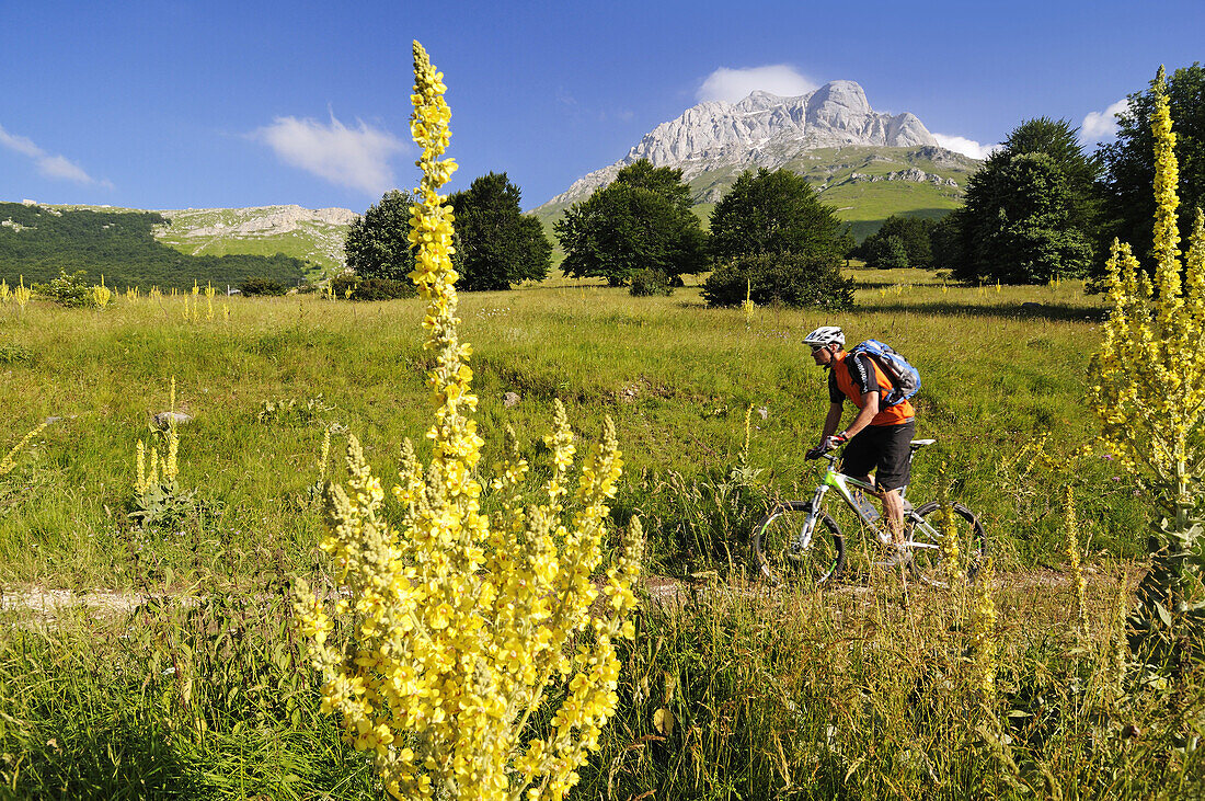 Mountain biker in idyllic landscape at Corno Grande, Gran Sasso National Park, Abruzzi, Italy, Europe