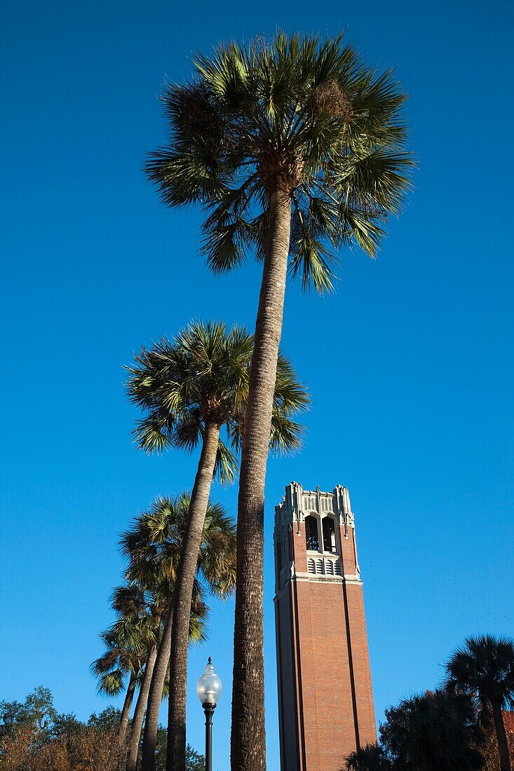 USA, Florida, Gainesville, University of Florida, Century Tower