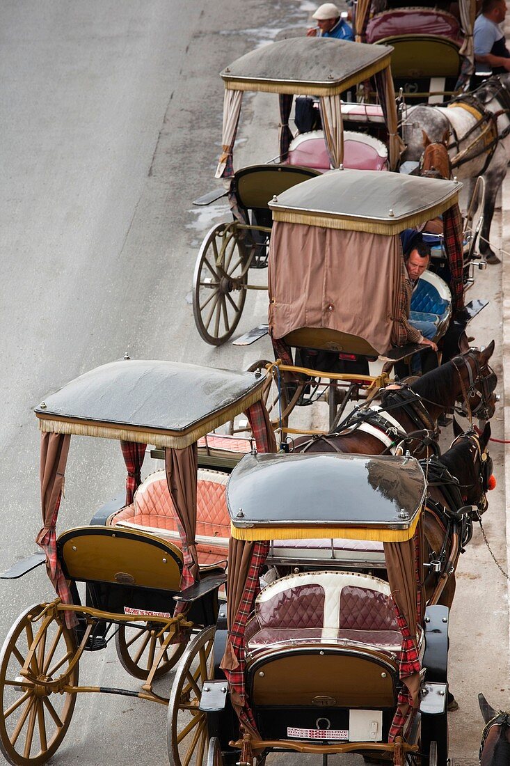 Malta, Valletta, Floriana, horse carriages at Pinto Wharf