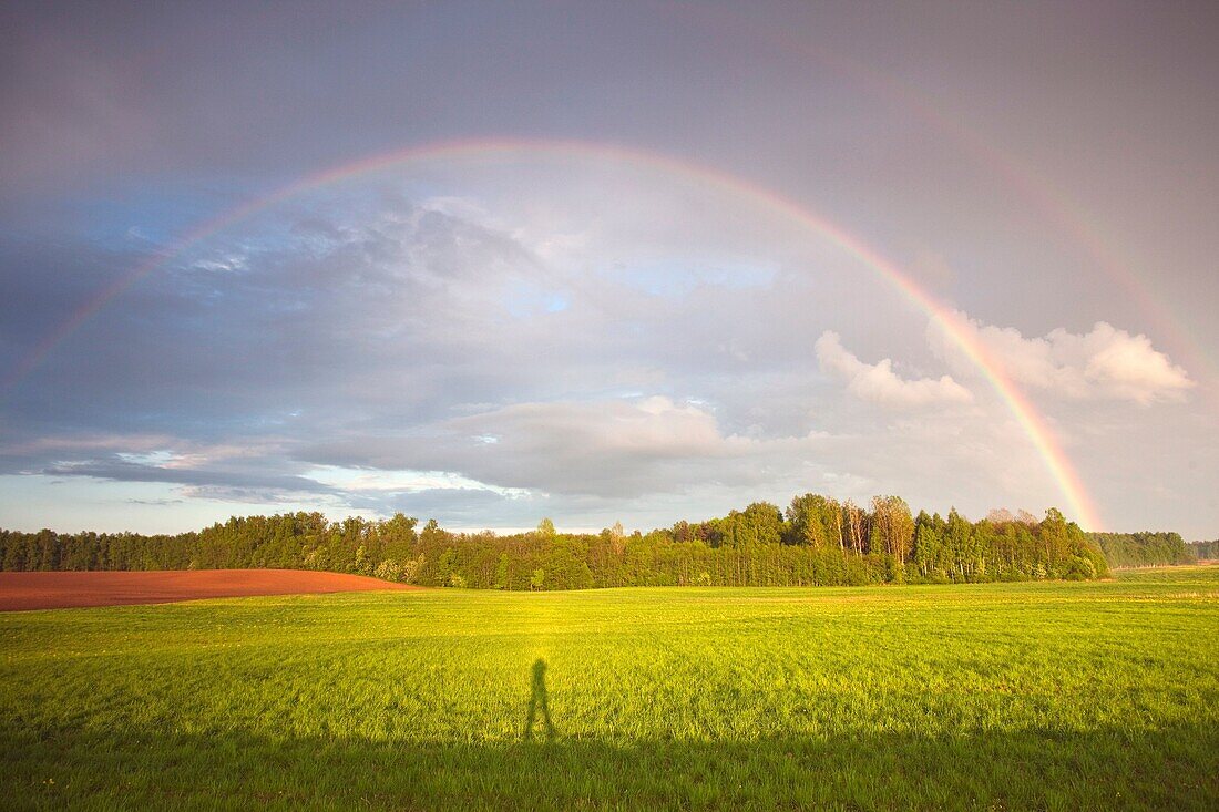 Latvia, Northeastern Latvia, Vidzeme Region, Gauja National Park, Rubene, spring field and rainbow by the A3 highway