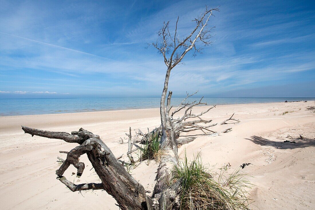 Latvia, Western Latvia, Kurzeme Region, Cape Kolka, Kolkasrags, Kolka, Slitere National Park, Cape landscape