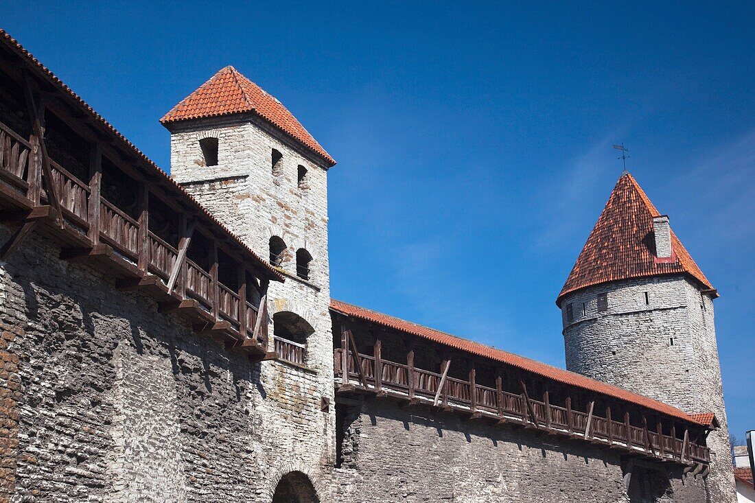 Estonia, Tallinn, Old Town, detail of the City Walls