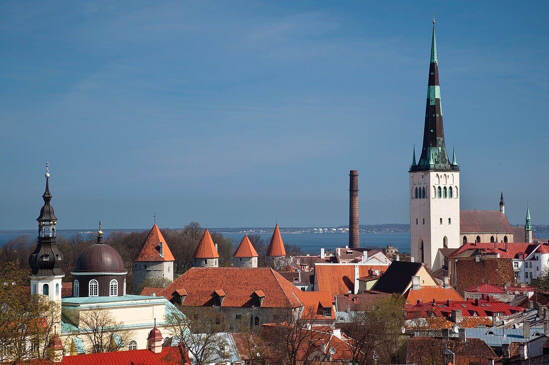 Estonia, Tallinn, Old Town, elevated view with St Olaf's Church from Toompea
