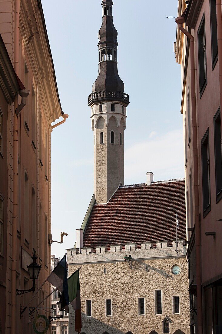 Estonia, Tallinn, Old Town, Town Hall from Munch Street